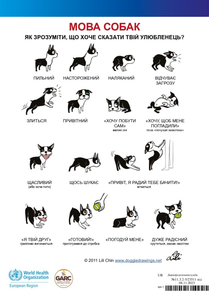 Інформація стосовно профілактики сказу